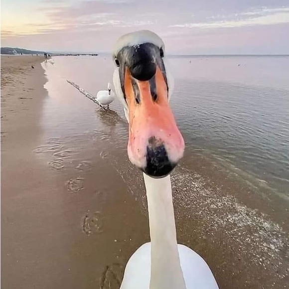 Welcome 👋 😊 - Picture 1 of 15